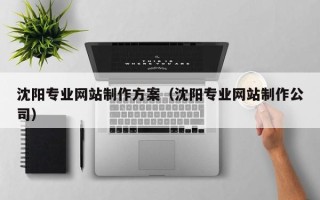 阿勒泰沈阳专业网站制作方案（沈阳专业网站制作公司）